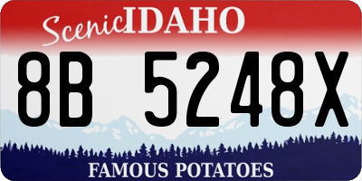 ID license plate 8B5248X