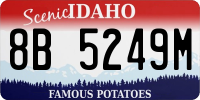 ID license plate 8B5249M