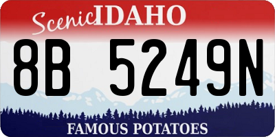 ID license plate 8B5249N