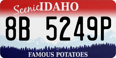 ID license plate 8B5249P