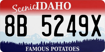 ID license plate 8B5249X