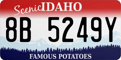 ID license plate 8B5249Y