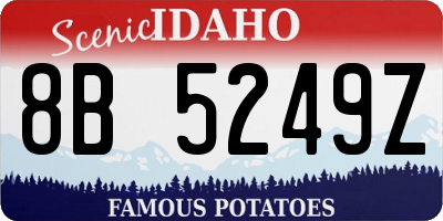 ID license plate 8B5249Z