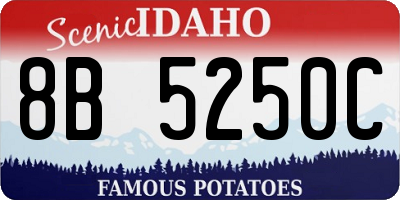ID license plate 8B5250C