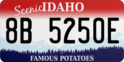 ID license plate 8B5250E
