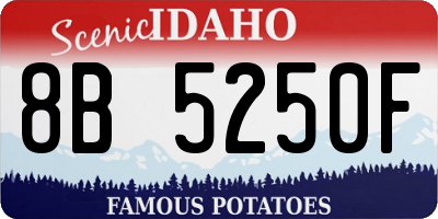 ID license plate 8B5250F