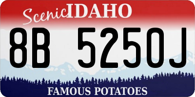 ID license plate 8B5250J