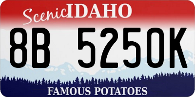 ID license plate 8B5250K