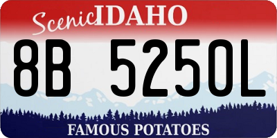 ID license plate 8B5250L