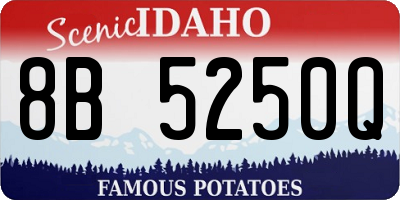 ID license plate 8B5250Q