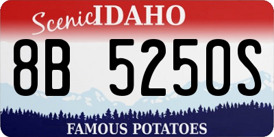 ID license plate 8B5250S