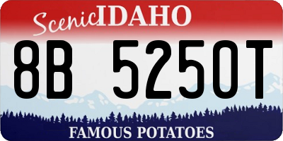 ID license plate 8B5250T