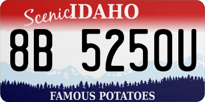 ID license plate 8B5250U