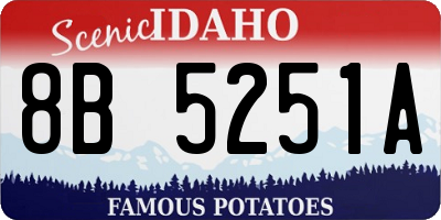ID license plate 8B5251A