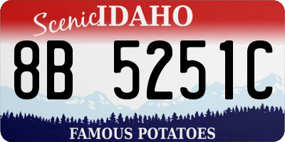 ID license plate 8B5251C