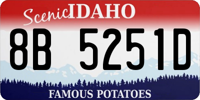 ID license plate 8B5251D