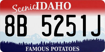 ID license plate 8B5251J