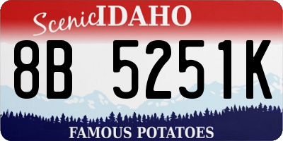 ID license plate 8B5251K