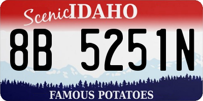 ID license plate 8B5251N