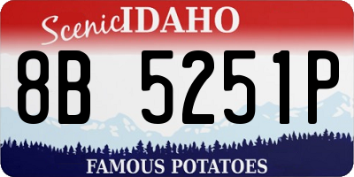 ID license plate 8B5251P