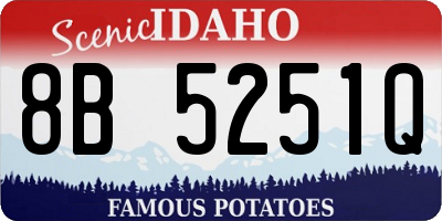 ID license plate 8B5251Q