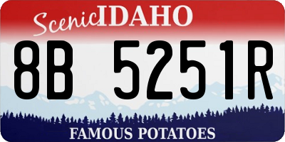 ID license plate 8B5251R