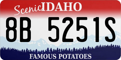 ID license plate 8B5251S