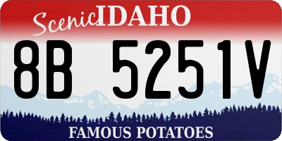 ID license plate 8B5251V