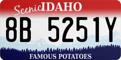 ID license plate 8B5251Y
