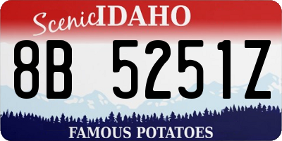 ID license plate 8B5251Z