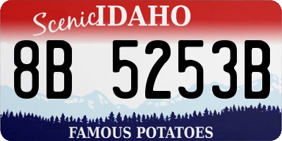 ID license plate 8B5253B