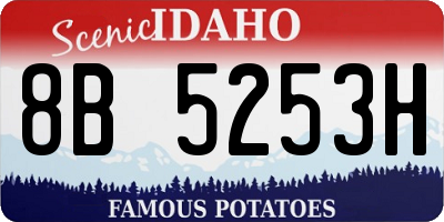 ID license plate 8B5253H