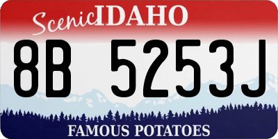 ID license plate 8B5253J