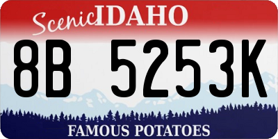 ID license plate 8B5253K