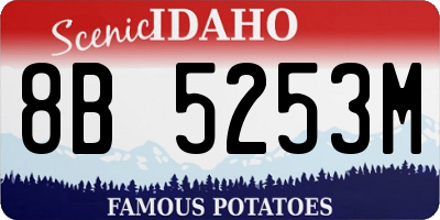 ID license plate 8B5253M