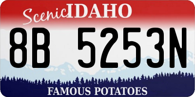 ID license plate 8B5253N
