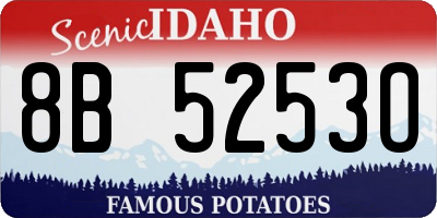 ID license plate 8B5253O