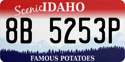 ID license plate 8B5253P