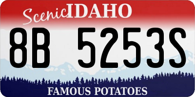 ID license plate 8B5253S