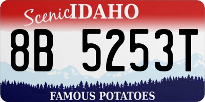 ID license plate 8B5253T
