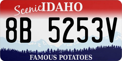 ID license plate 8B5253V