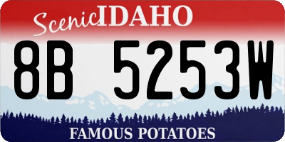 ID license plate 8B5253W