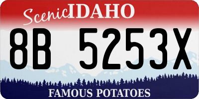 ID license plate 8B5253X