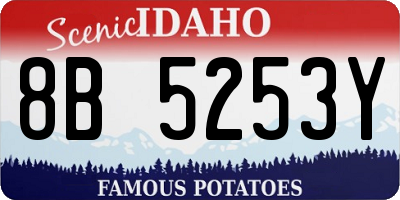 ID license plate 8B5253Y
