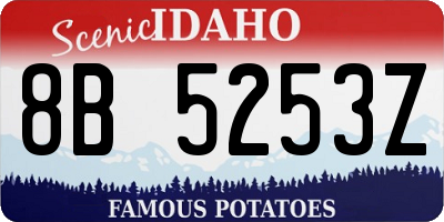 ID license plate 8B5253Z