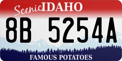 ID license plate 8B5254A