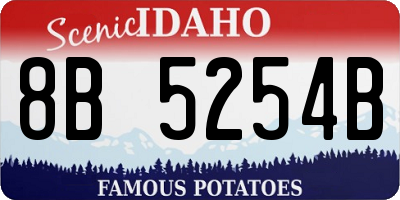 ID license plate 8B5254B