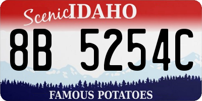 ID license plate 8B5254C