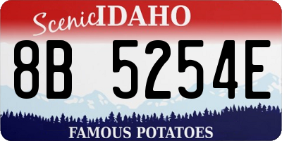 ID license plate 8B5254E