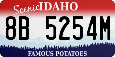ID license plate 8B5254M
